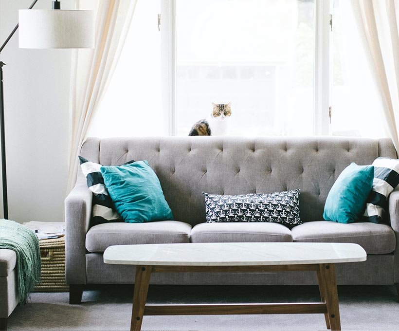 Egestas sed sed risus pretium quam vulputate Egestas sed sed risus pretium quam vulputate